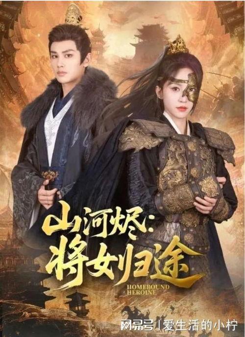 将军免费观看完整版,揭秘传奇英雄的荣耀征程