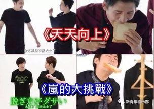 日本综艺在线回放,重温经典瞬间，在线回放带你回顾笑与泪的交织