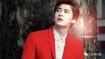 娱乐八卦爆料李易峰,娱乐圈再掀波澜