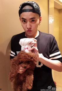 9月27日明星,星光熠熠，娱乐圈精彩瞬间大盘点