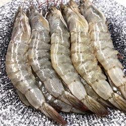 厄瓜多尔虾爆料视频完整版,完整版爆料视频深度解析