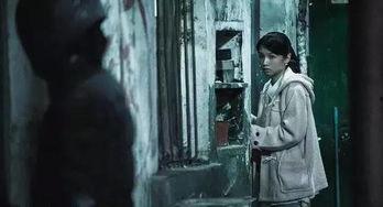 姐妹日本分尸,姐妹日本分尸案背后的惊人真相