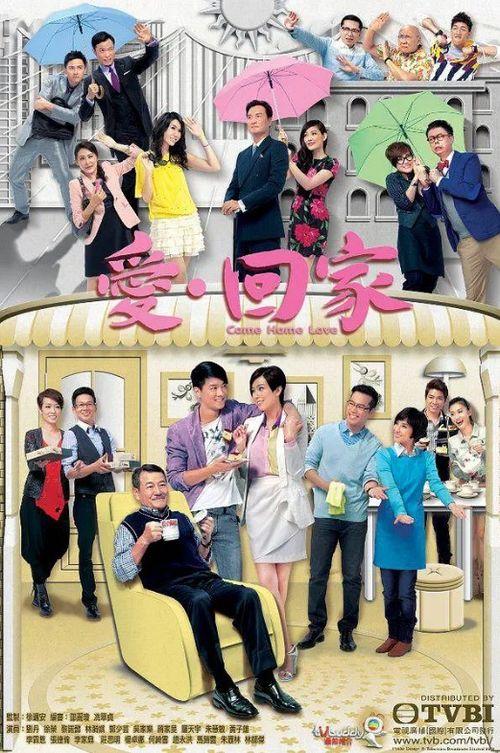 电视剧爱回家免费观看,免费畅享温馨家庭剧
