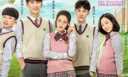 国民老公英语,揭秘娱乐圈顶级流量明星的传奇人生