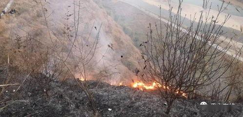 狮子山爆料视频最新版在线观看,揭秘背后真相，在线观看不容错过