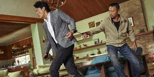 免费观看追捕电影吴宇森,热血追击，正义归来！