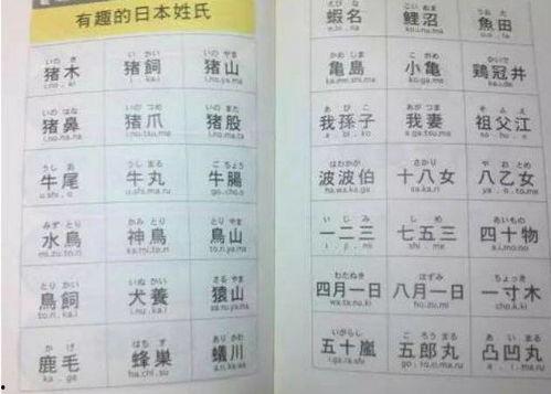 日本姓氏 楠,揭秘“楠”姓的传承与魅力