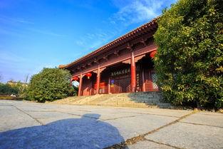 免费现在观看宫,宫剧魅力再临