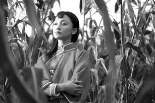 电影红高粱在线播放免费,激情燃烧的岁月，重温经典传奇