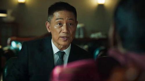 林雪爆料视频最新消息大全,揭秘娱乐圈不为人知的一面