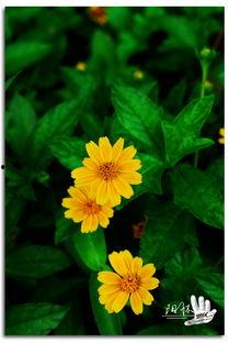 草草草AV网,一场网络色情内容的深度剖析