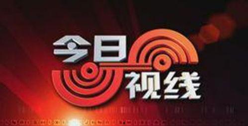 汕头今日视线爆料网站,揭秘本地热点事件，深度剖析社会现象