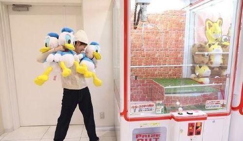 抓娃娃的明星,娱乐与游戏的跨界融合