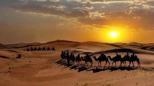 攻坚朱诺滩免费观看正片,免费正片独家揭秘