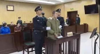 被告人在线播放14,14岁少年在线播放不良内容引发社会关注